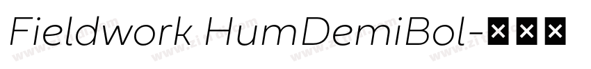 Fieldwork HumDemiBol字体转换